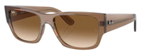 Ray-Ban Carlos RB0947S Sunglasses