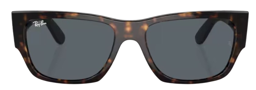 Ray-Ban Carlos RB0947S Sunglasses