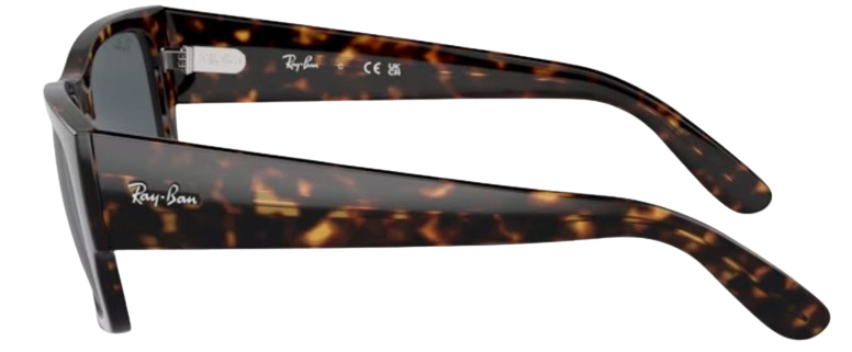 Ray-Ban Carlos RB0947S Sunglasses