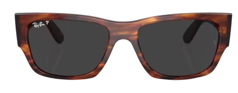 Ray-Ban Carlos RB0947S Sunglasses