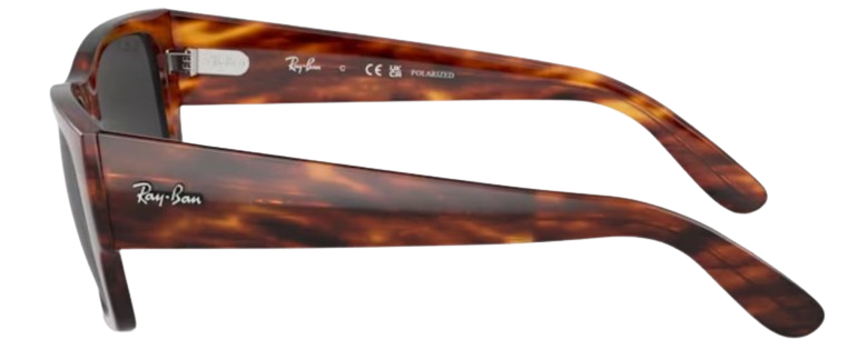 Ray-Ban Carlos RB0947S Sunglasses