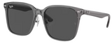 Gafas de Sol Ray-Ban RB2206D