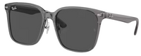 Ray-Ban RB2206D Sunglasses