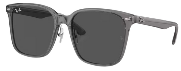 Gafas de Sol Ray-Ban RB2206D