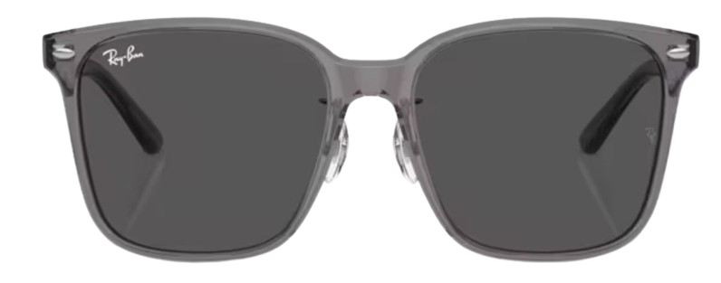 Ray-Ban RB2206D Sunglasses