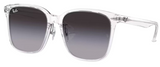 Gafas de Sol Ray-Ban RB2206D