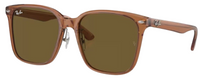 Ray-Ban RB2206D Sunglasses