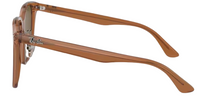 Ray-Ban RB2206D Sunglasses