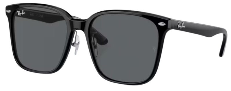 Ray-Ban RB2206D Sunglasses