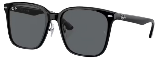 Gafas de Sol Ray-Ban RB2206D