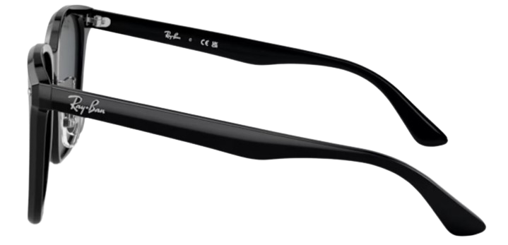 Ray-Ban RB2206D Sunglasses