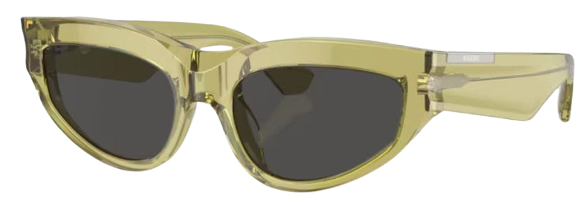 Gafas de Sol Burberry BE4425U