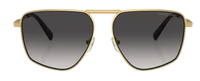 Michael Kors Silverton MK1153 Sunglasses