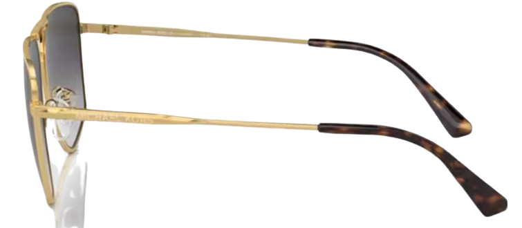 Michael Kors Silverton MK1153 Sunglasses