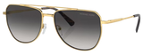 Gafas de Sol Michael Kors Whistler MK1155