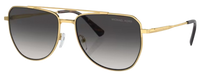 Michael Kors Whistler MK1155 Sunglasses
