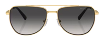Michael Kors Whistler MK1155 Sunglasses