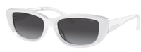Michael Kors Asheville MK2210U Sunglasses