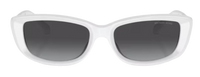 Michael Kors Asheville MK2210U Sunglasses