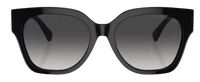 Ralph Lauren RL8221 Sunglasses