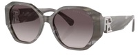 Gafas de Sol Ralph Lauren RL8220