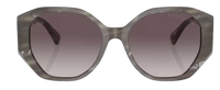 Gafas de Sol Ralph Lauren RL8220
