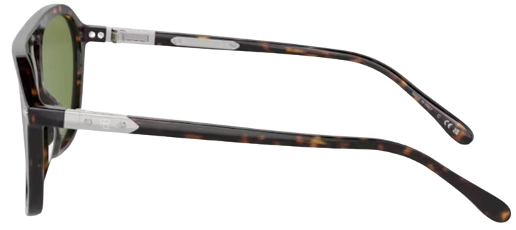 Ralph Lauren RL8219U Sunglasses