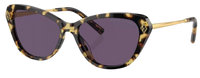Sonnenbrille Ralph Lauren RL8224U