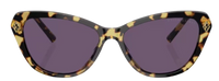 Sonnenbrille Ralph Lauren RL8224U