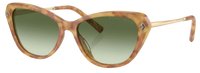 Sonnenbrille Ralph Lauren RL8224U