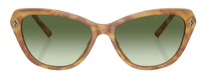 Sonnenbrille Ralph Lauren RL8224U