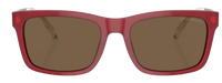 Emporio Armani EA4224 Sunglasses
