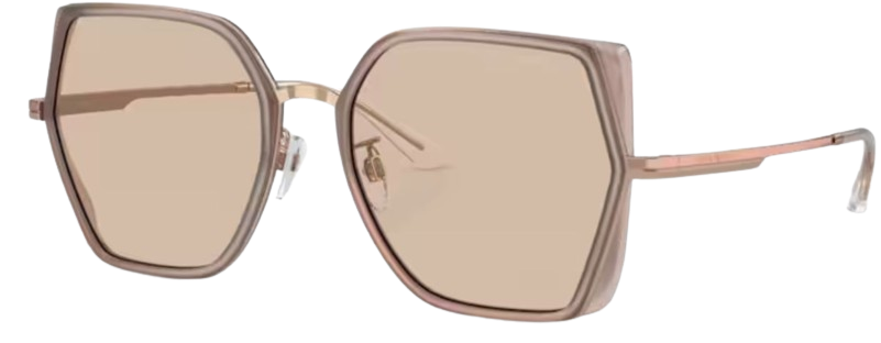 Emporio Armani EA2142D Sunglasses