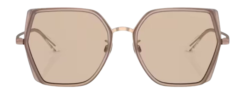 Emporio Armani EA2142D Sunglasses
