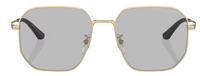 Emporio Armani EA2154D Sunglasses