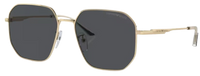 Emporio Armani EA2154D Sunglasses
