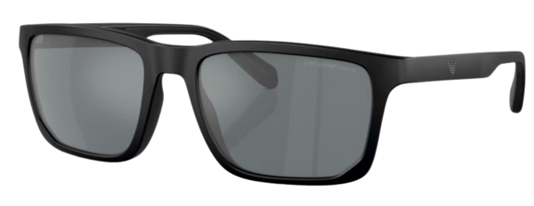 Zonnebril Emporio Armani EA4219