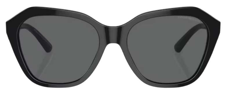 Emporio Armani EA4221 Sunglasses