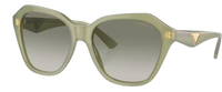 Emporio Armani EA4221 Sunglasses