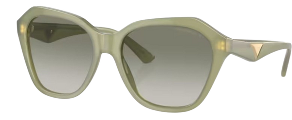 Emporio Armani EA4221 zonnebril