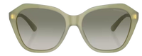 Emporio Armani EA4221 Sunglasses