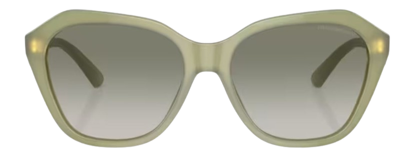 Emporio Armani EA4221 Sunglasses