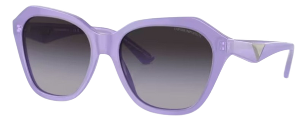 Emporio Armani EA4221 zonnebril