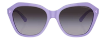 Emporio Armani EA4221 Sunglasses