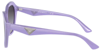 Emporio Armani EA4221 Sunglasses