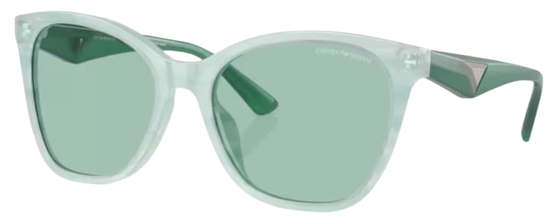 Emporio Armani EA4222U Sunglasses