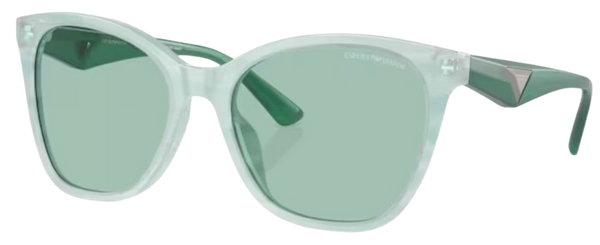 Zonnebrillen Emporio Armani EA4222U