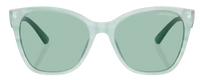 Emporio Armani EA4222U Sunglasses
