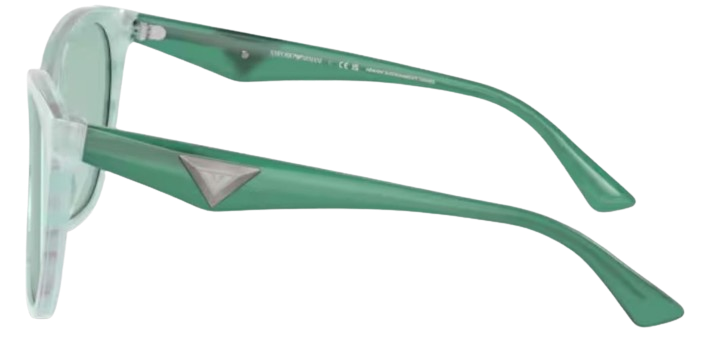 Emporio Armani EA4222U Sunglasses