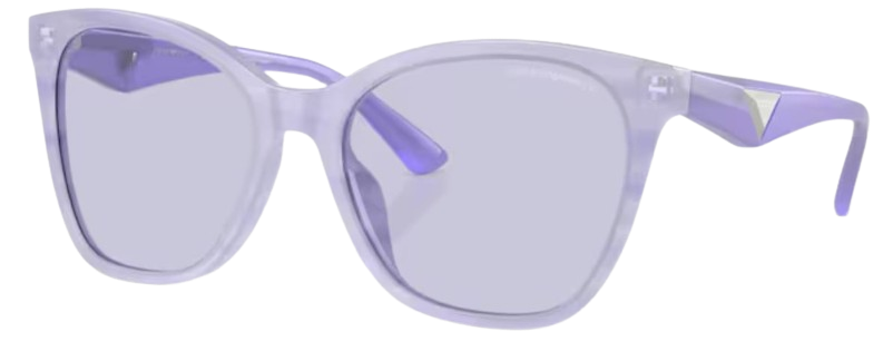 Emporio Armani EA4222U Sunglasses